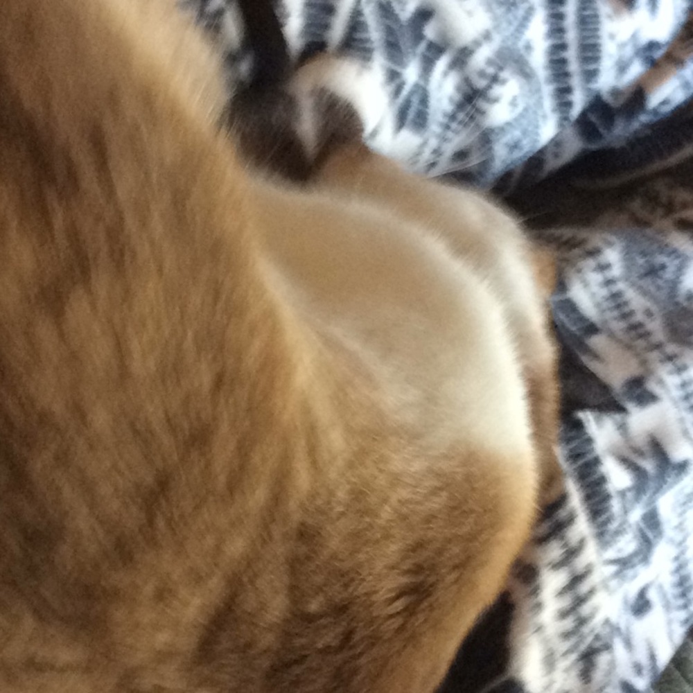 Meet your Posher, Margaret